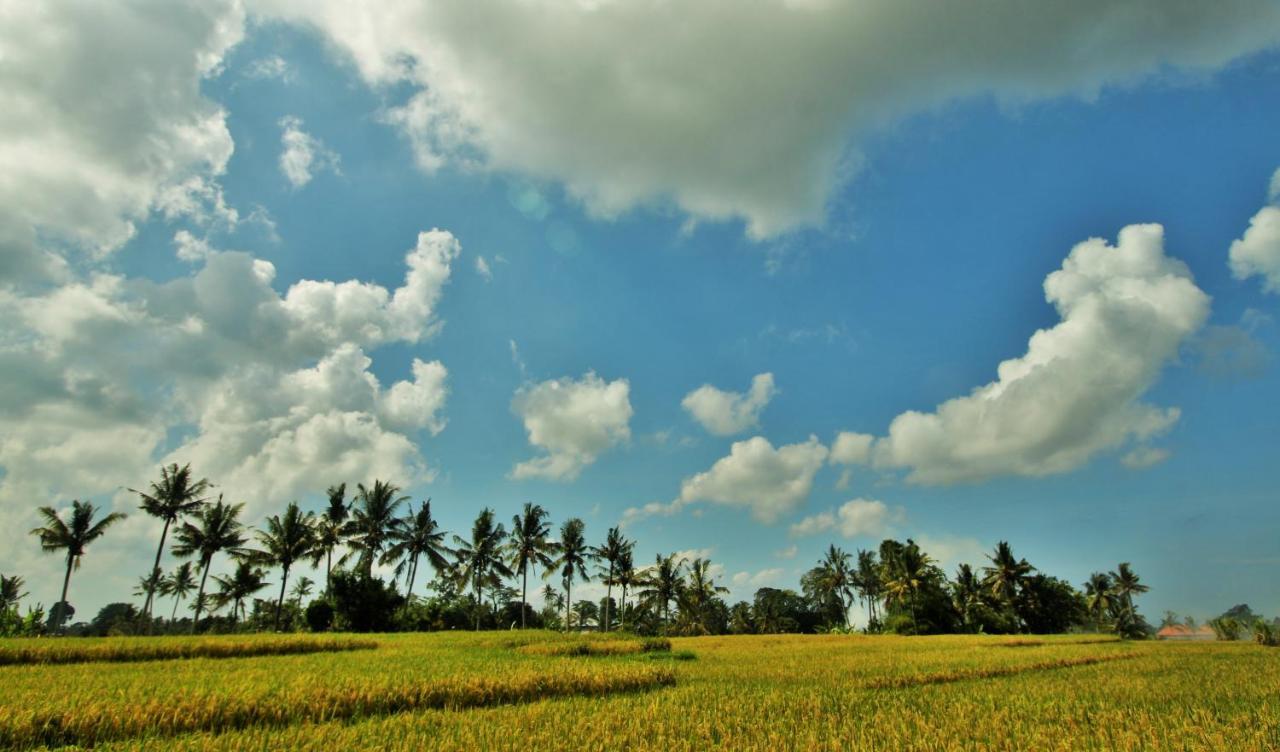 Griya Private Villa Ubud Zewnętrze zdjęcie