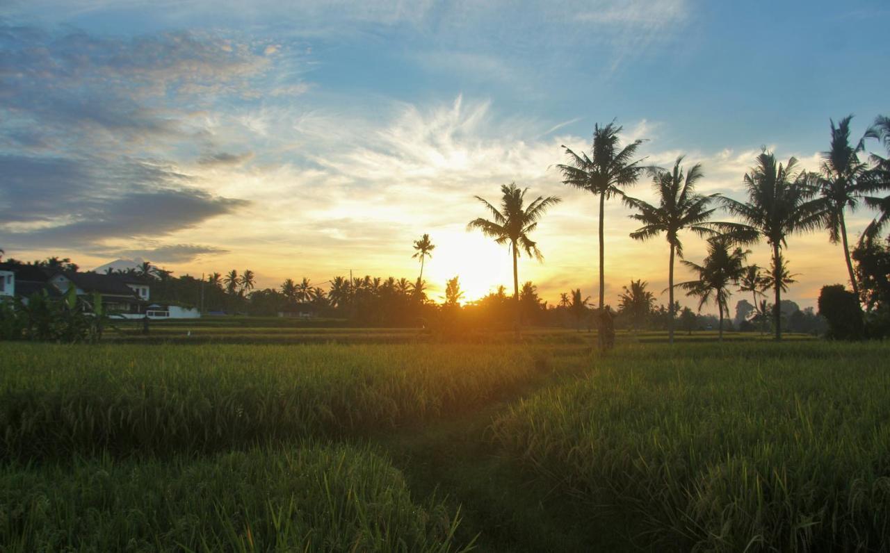 Griya Private Villa Ubud Zewnętrze zdjęcie