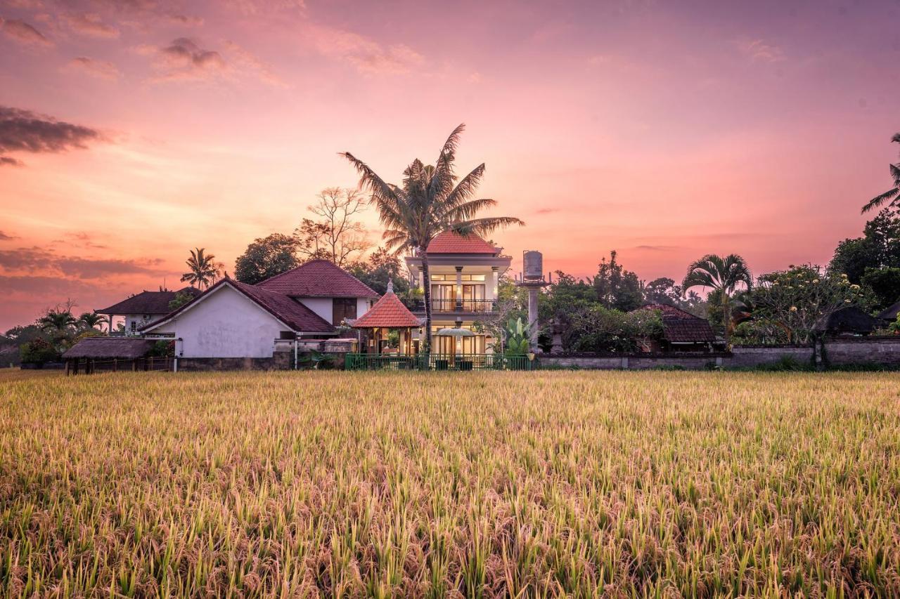 Griya Private Villa Ubud Zewnętrze zdjęcie
